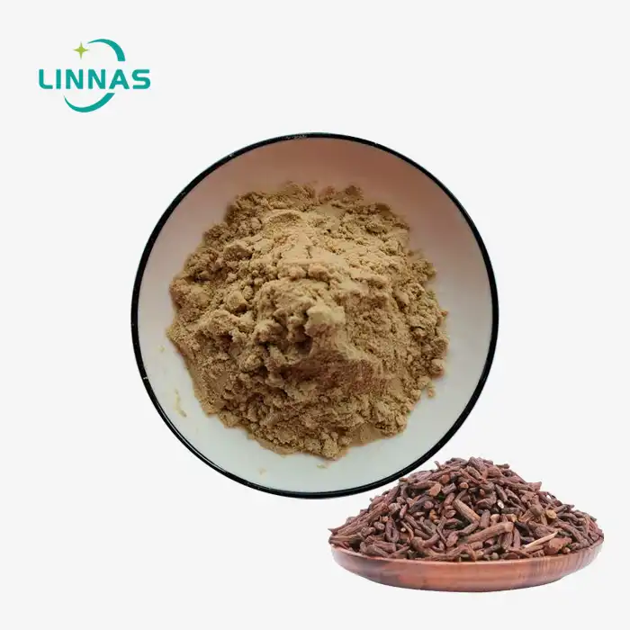 Bulk Dandelion Root Extract Powder